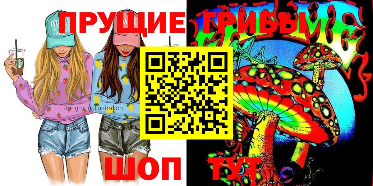 Галлюциногенные грибы Cubensis  Вход с VPN  магазин продажи   Новоалександровск  Галлюциногенные грибы мицелий 